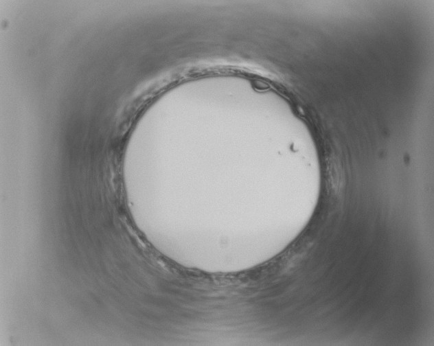 X0000051251494200507152136