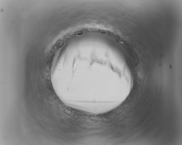 X0000051251495200507152136