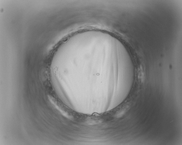 X0000051251496200507152136