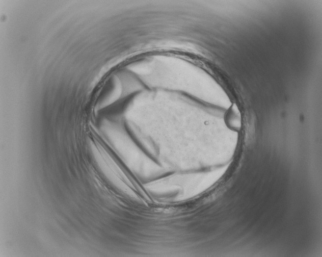 X0000051251497200507152136