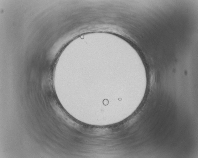 X0000051251498200507152136