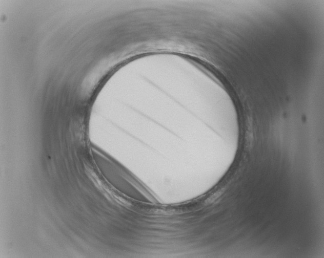 X0000051251499200507152136