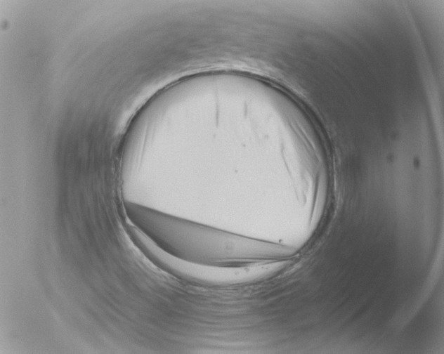 X0000051251500200507152136