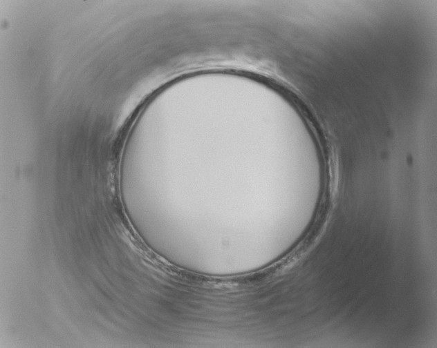 X0000051251501200507152136