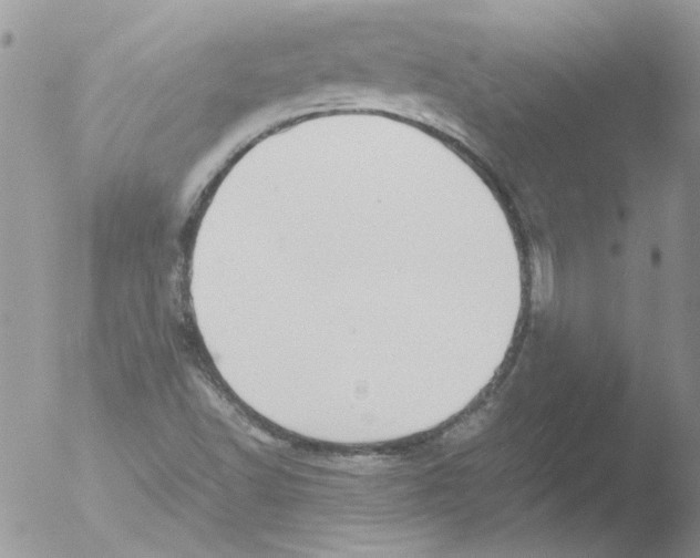 X0000051251502200507152136