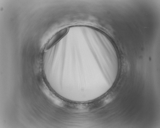 X0000051251504200507152136