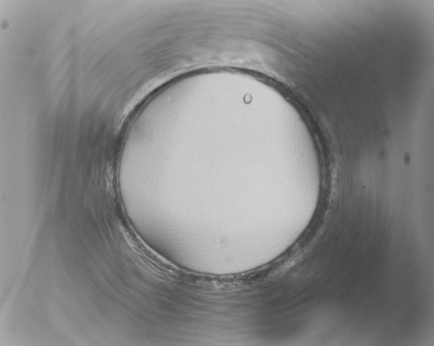 X0000051251505200507152136