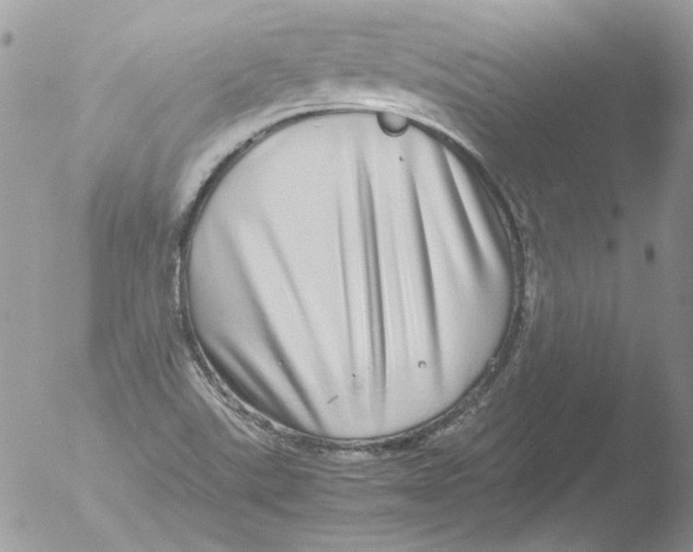 X0000051251507200507152136