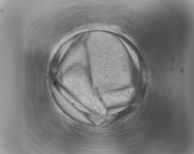 X0000051251508200507152136