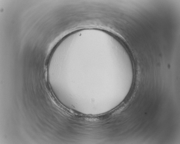 X0000051251509200507152136