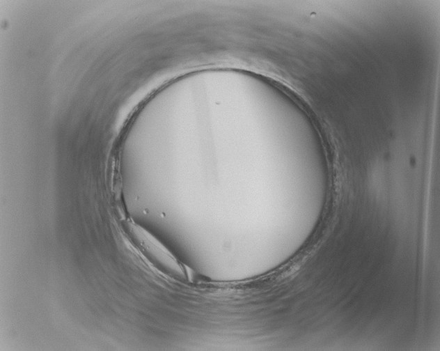 X0000051251510200507152136