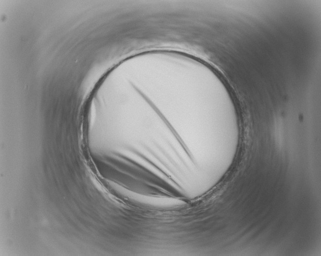 X0000051251511200507152136