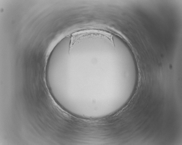 X0000051251512200507152136