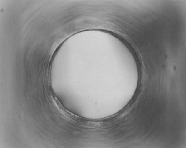 X0000051251513200507152136