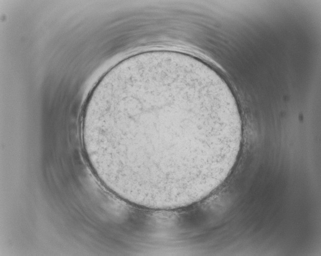 X0000051251514200507152136