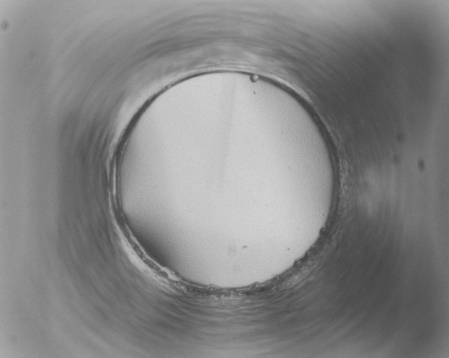 X0000051251515200507152136