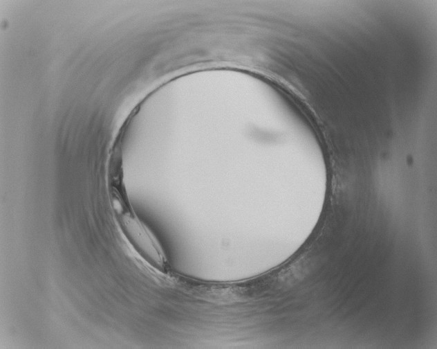 X0000051251516200507152136