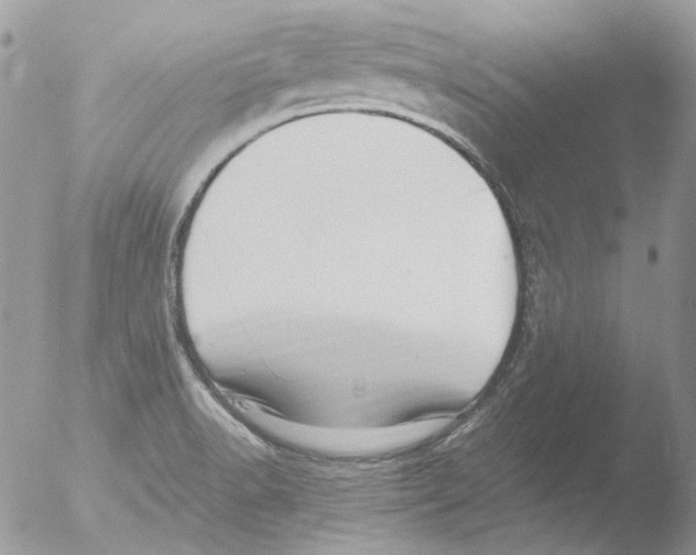 X0000051251518200507152136