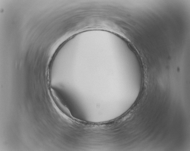 X0000051251519200507152136