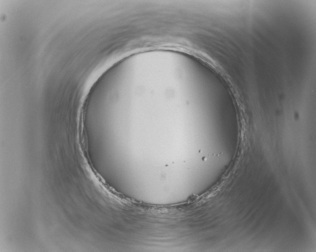 X0000051251520200507152136