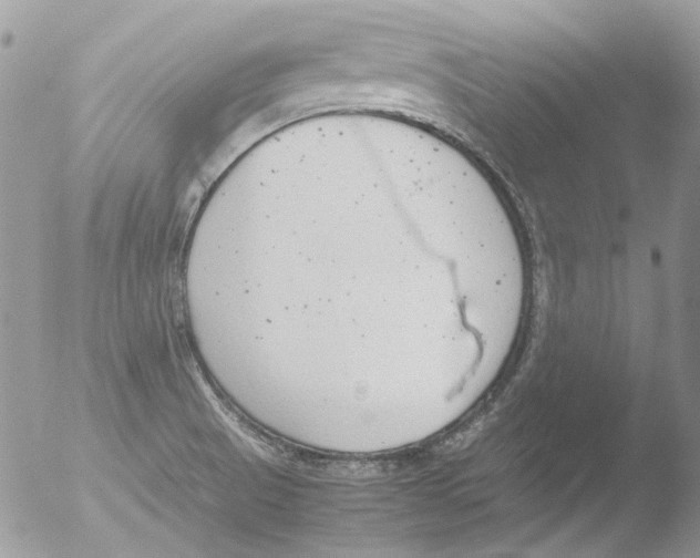 X0000051251521200507152136