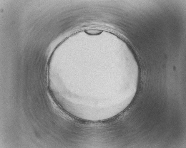 X0000051251522200507152136