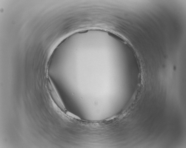 X0000051251524200507152136