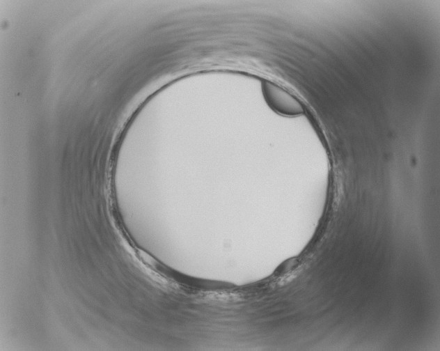 X0000051251525200507152136