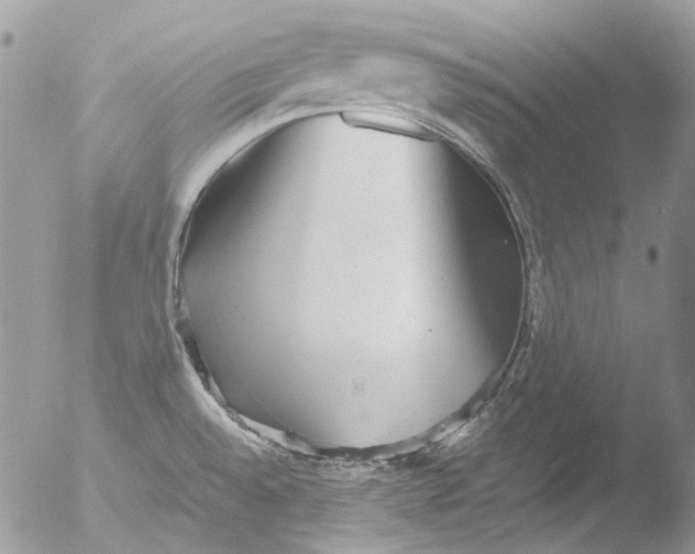 X0000051251528200507152136