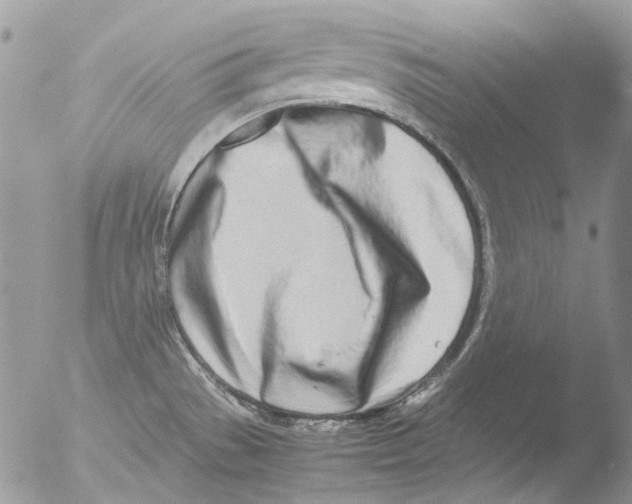 X0000051251529200507152136