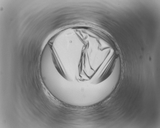 X0000051251530200507152136