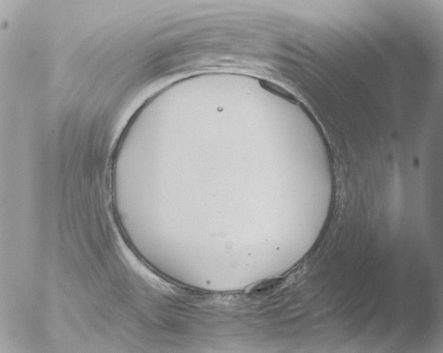 X0000051251531200507152136