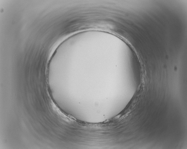 X0000051251532200507152136