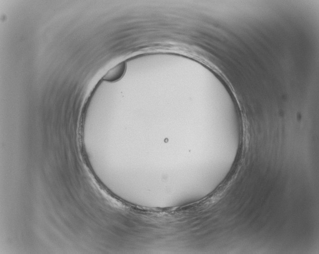 X0000051251533200507152136