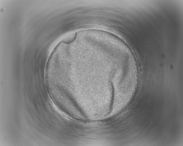 X0000051251535200507152136