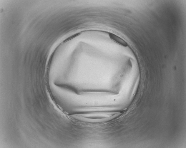 X0000051251536200507152136