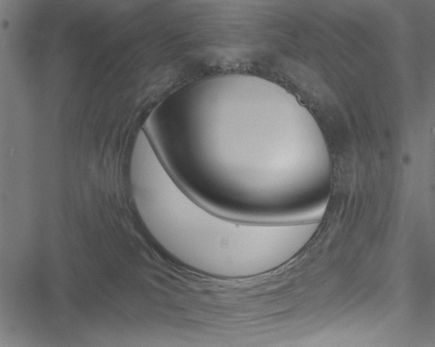 X0000051260039200506170827