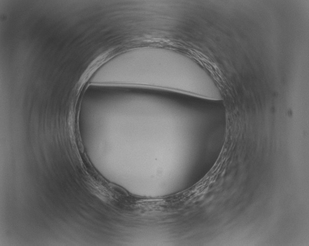 X0000051260051200506170826