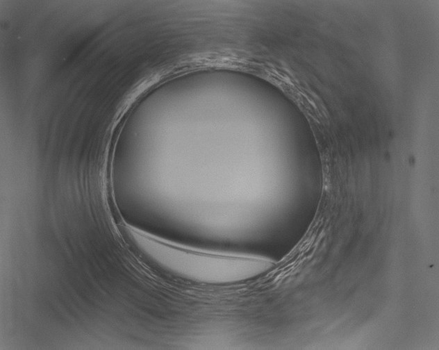 X0000051260052200506170826