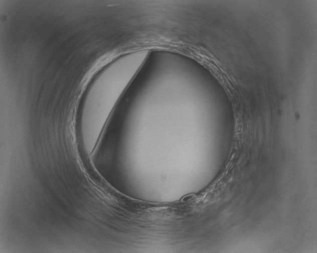 X0000051260054200506170826