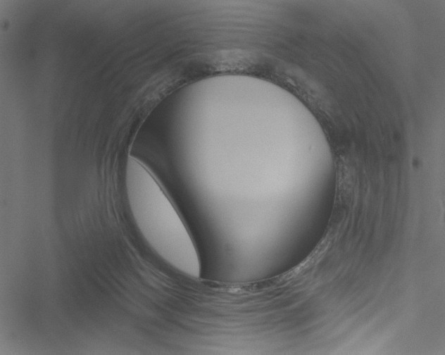 X0000051260074200506170827