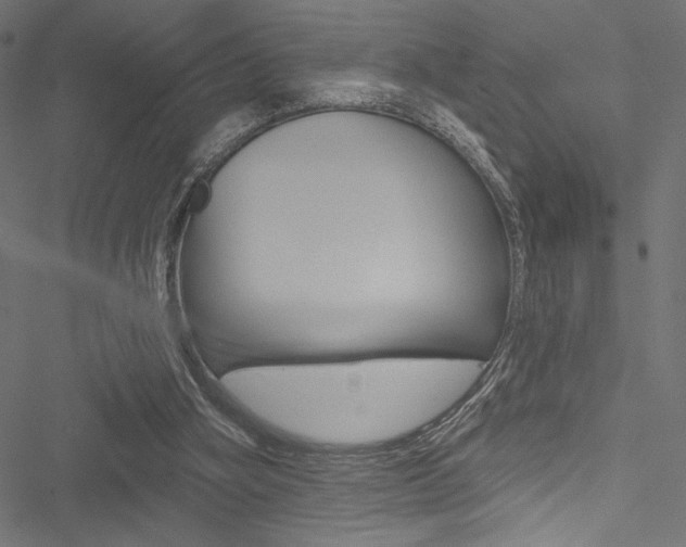 X0000051260106200506170826