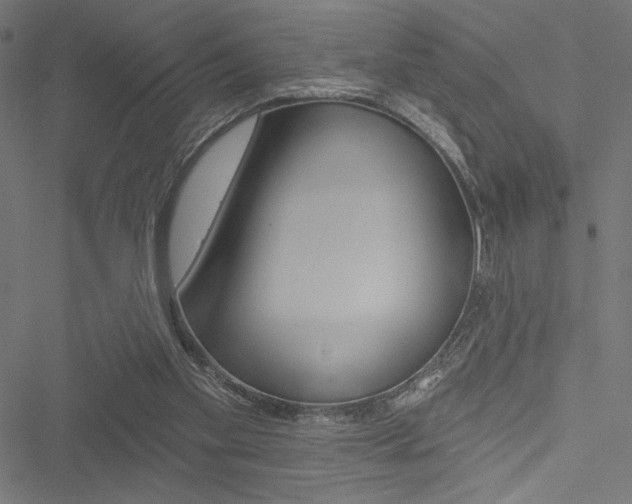 X0000051260109200506170826