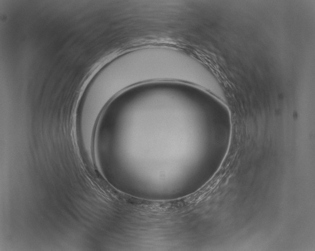 X0000051260148200506170825