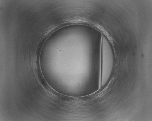 X0000051260201200506170825