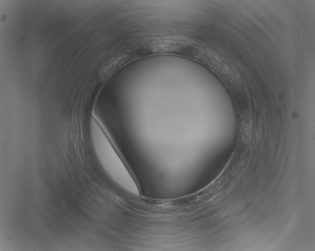 X0000051260219200506170824