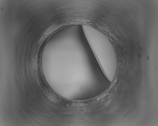 X0000051260242200506170823