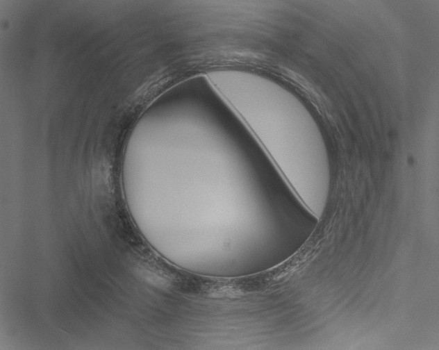 X0000051260258200506170823