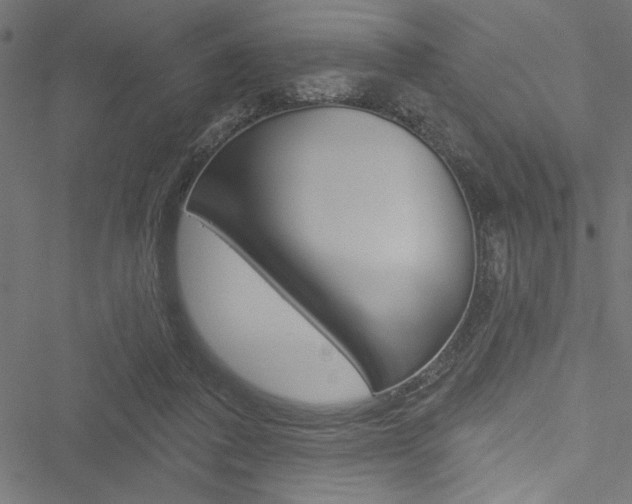 X0000051260308200506170823