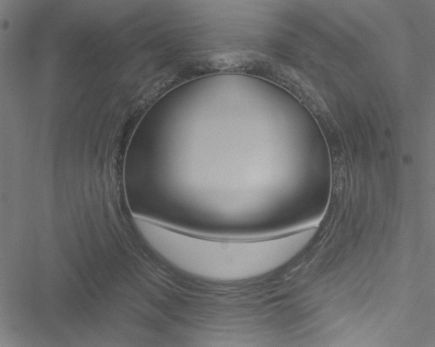 X0000051260317200506170823